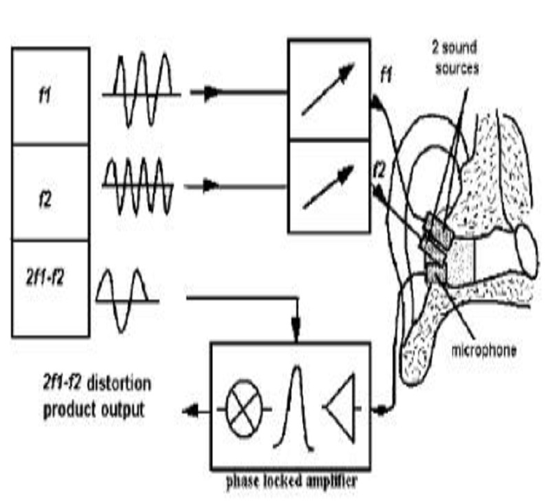 [query-result:title]