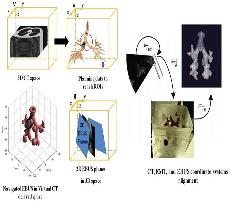 [query-result:title]
